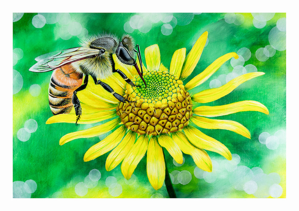 A bee on a flower. Acryllic painting on canvas with border.